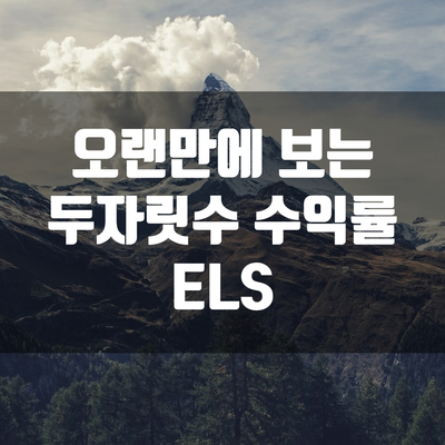  오랜만에 보는 두자릿수 수익률 ELS (Feat. 신한금융투자)
