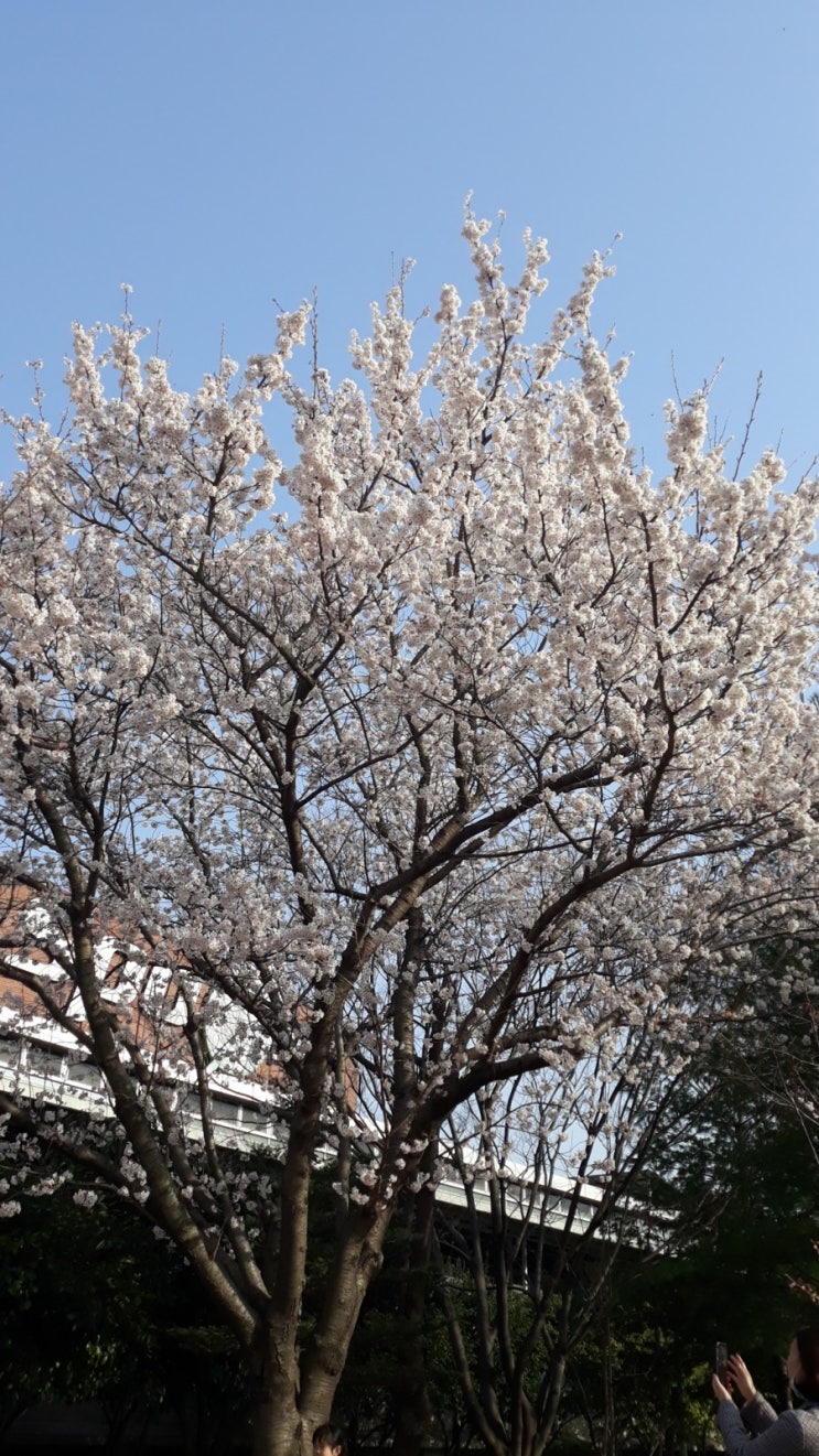  매일 새로운 세상을 만나는 즐거움-야외스케치