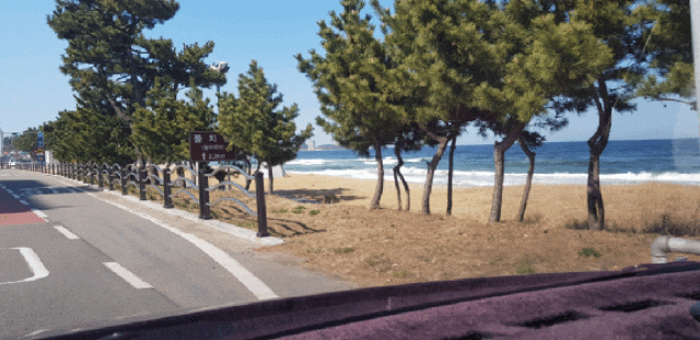  속초주말당일치기/춘천닭갈비/춘천감자밭/춘천친구만남