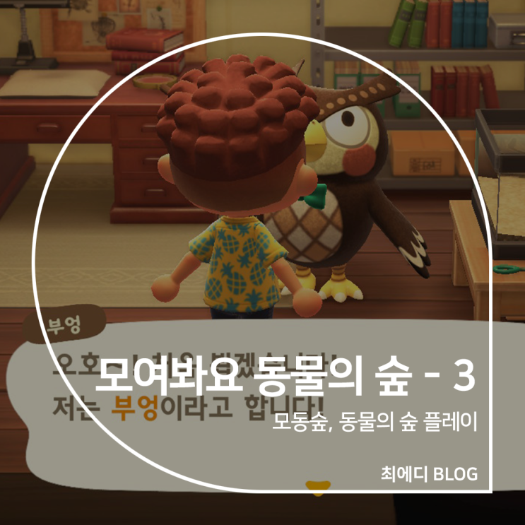  [모여봐요 동물의 숲 - 3] 부엉 이주! 집 증축, 주머니 늘리기, 죠니, 마일 여행!