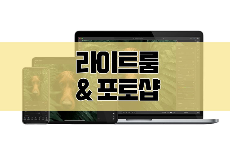  사진편집 프로그램  추천 : 어도비 라이트룸, 포토샵 다운로드/ 월정액 끊기