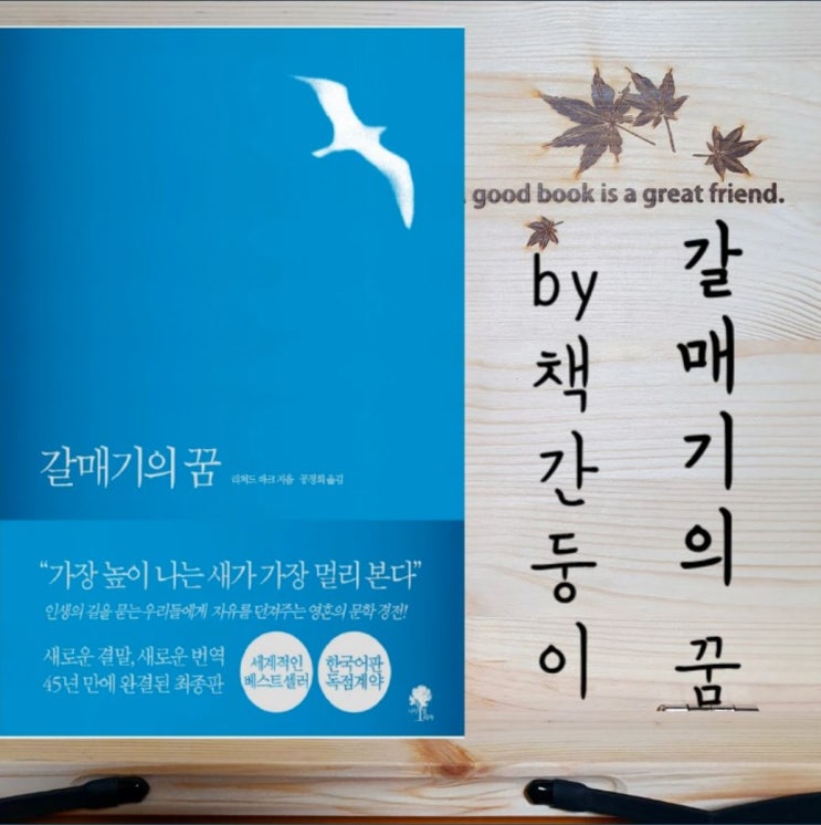  갈매기의 꿈 줄거리와 후기, 청소년 권장도서 추천