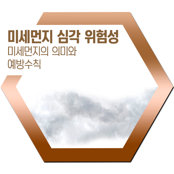  미세먼지의 의미와 위험성, 그리고 예방법