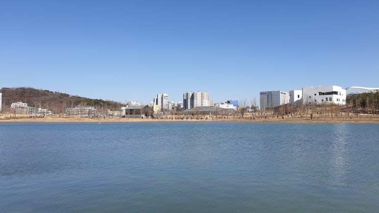  입맛이없는이유 입맛이 쓴 이유와 치료