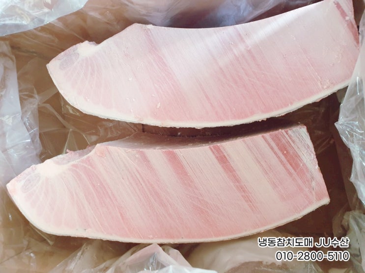  참치회배달 혼마도로 냉동참치판매 가격