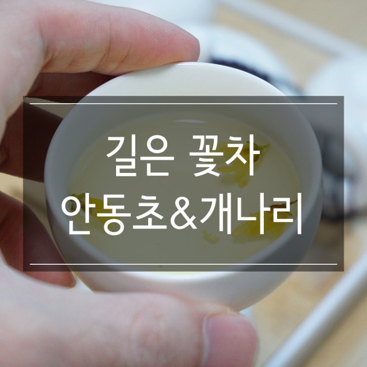길은 꽃차 프리미엄 인동초와 개나리꽃차로 집에서도 홈카페 티타임 길은 꽃차 프리미엄 인동초와 개나리꽃차로 집에서도 홈카페 티타임