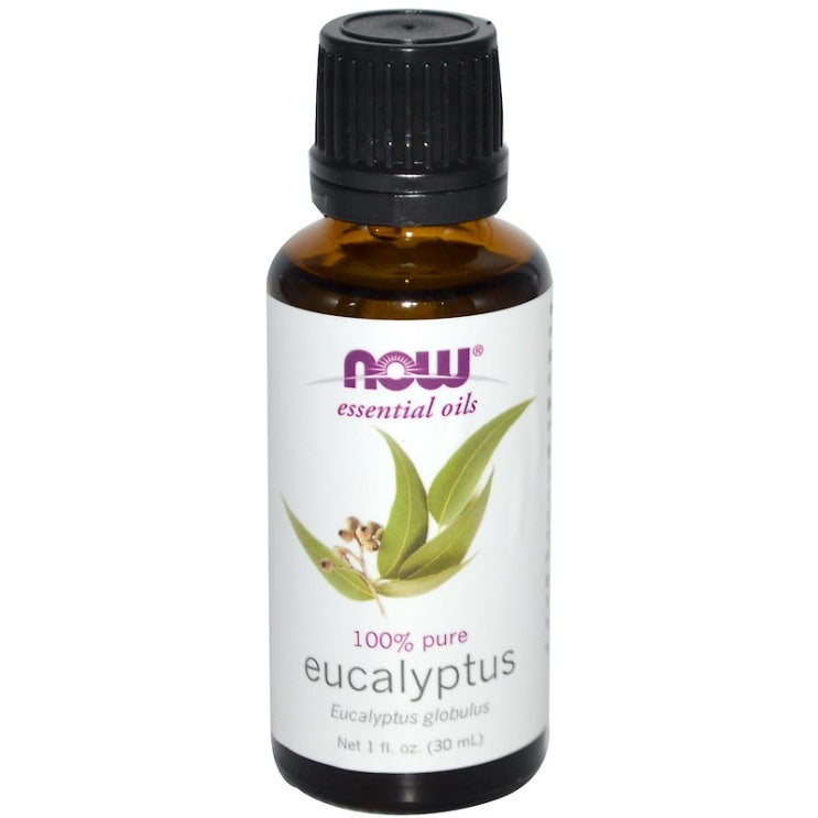 Now Foods 100% Pure 유칼립투스 에센셜 오일, 30ml, 1개 추천해요 Now Foods 100% Pure 유칼립투스 에센셜 오일, 30ml, 1개 추천해요