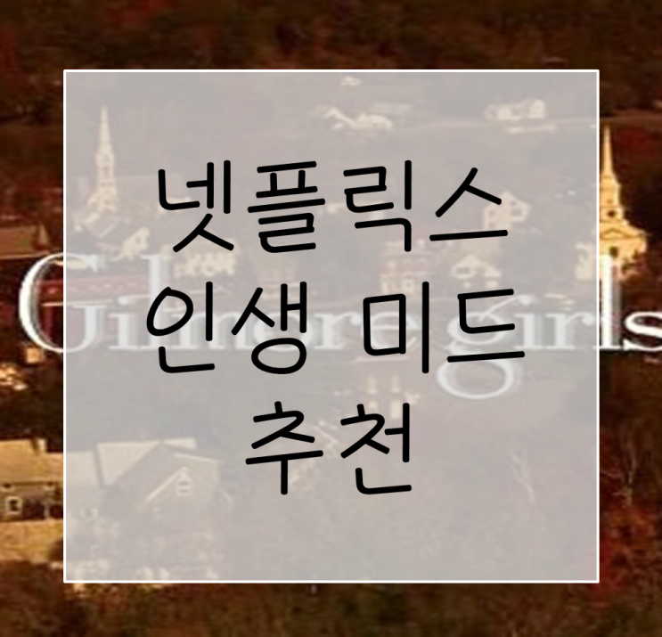  넷플릭스 미드 추천 BEST 5 