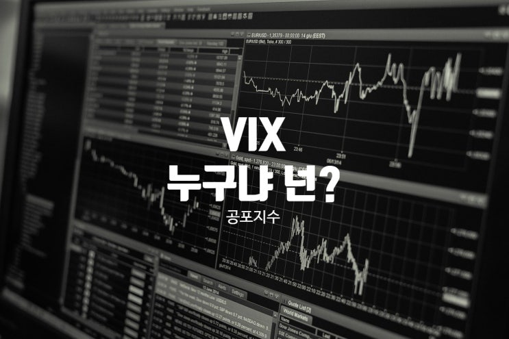 공포지수 VIX 넌 누구냐?