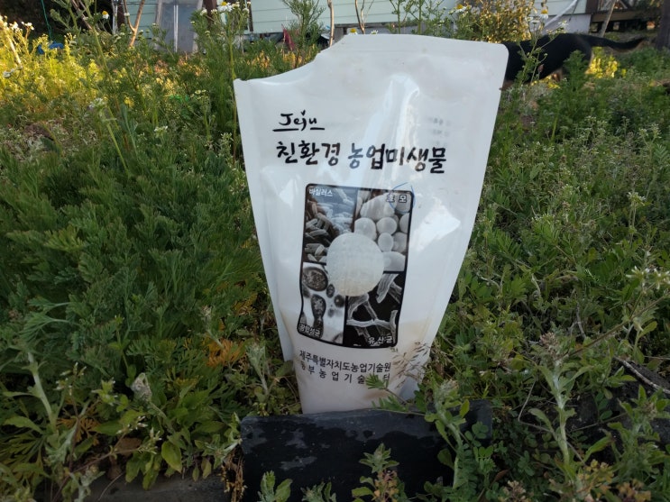미생물 시비 미생물 시비