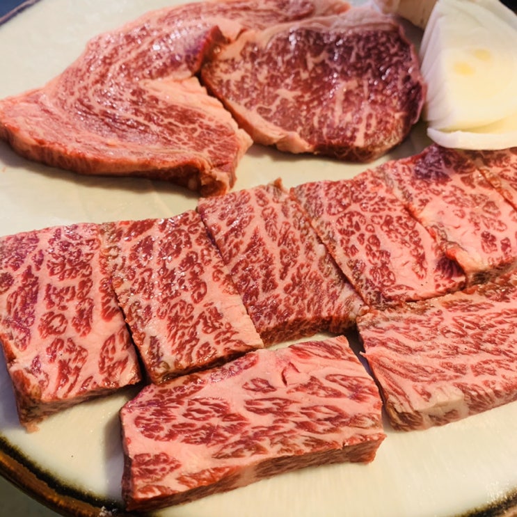  [맛집추천]시청 일품가든 : 시청 회식 장소 1+ 꽃등심, 살치살 리뷰