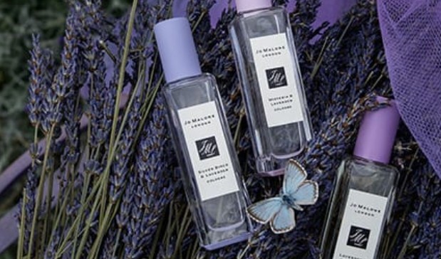  조 말론(JO MALONE) 코롱 인기순위 / 세련되면서 상큼한 향 (비싸도 사랑해)