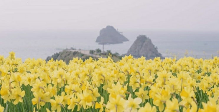  우리에게   잊혀진 계절을 되찾자  ~~광주시내운전연수/자동차운전연수/자동차운전학원/도로운전연수/운전/초보운전연수