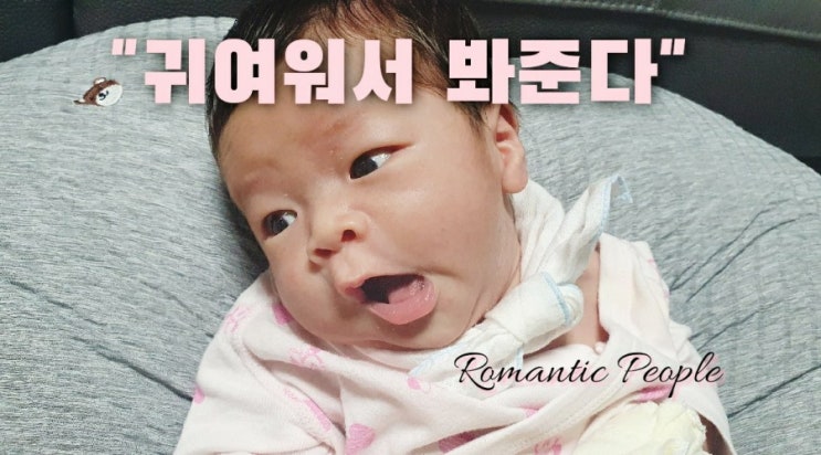 47편 "귀여워서 봐준다" 47편 "귀여워서 봐준다"