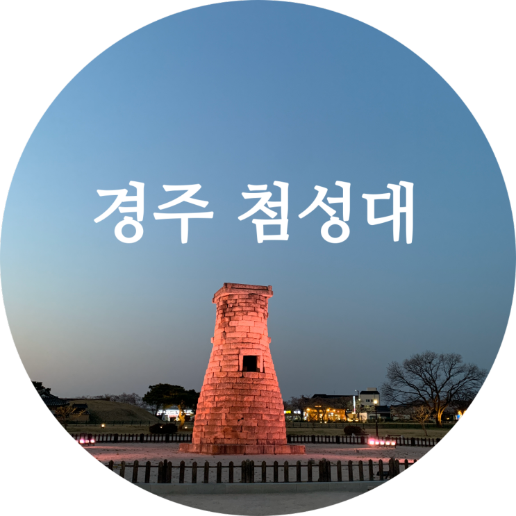 경주 첨성대 2020 벚꽃명소 추천!