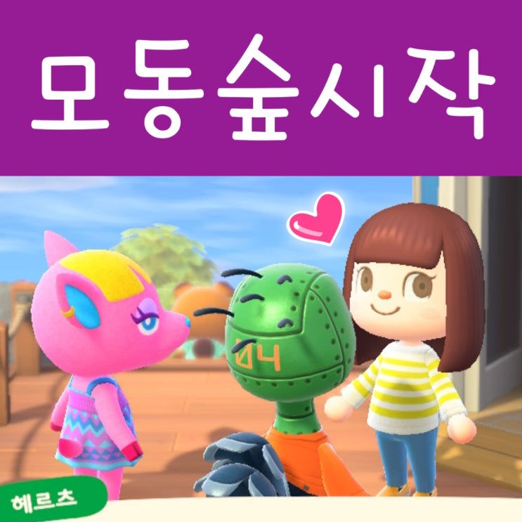  닌텐도 스위치 모여봐요 동물의숲 다운로드 받기! 모동숲 시작