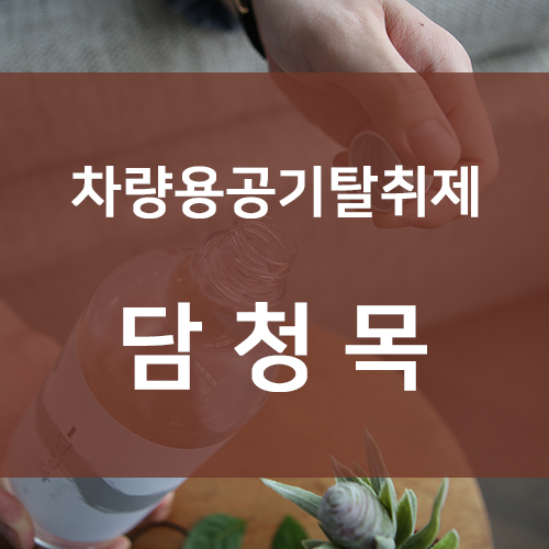  차량용공기탈취제 남친이 정말 좋아해!