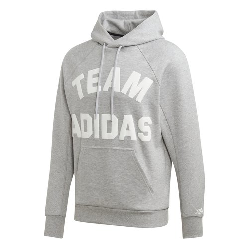  [아디다스 퍼포먼스][아디다스][adidas][MEN] M 브이 씨티 풀오버 후디_DX7957(갤러리아)