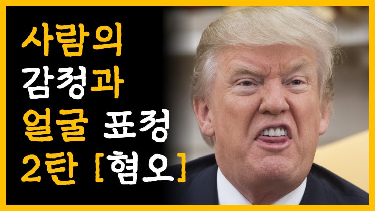  사람의 감정과 얼굴 표정 2탄 [feat. 혐오]