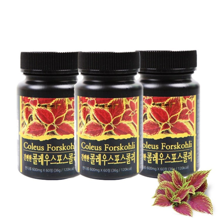 자연지향 콜레우스 포스콜리 포스콜린 60정 3개, 108g 추천해요 자연지향 콜레우스 포스콜리 포스콜린 60정 3개, 108g 추천해요