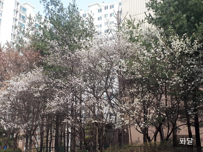  삼성전자주식폭락? 개미지옥? 동학개미운동?초보주식투자자, 작시퐈이어맨, 다시 존버 by 퐈이어맨달파소