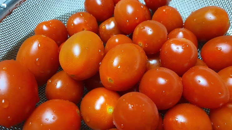  천안 단마토 판매처 (샤인마토, 스테비아 토마토) 그리고...