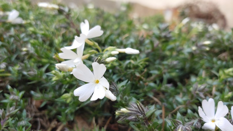 손해를 봐도 양도소득세를 내야 할까요? 손해를 봐도 양도소득세를 내야 할까요?