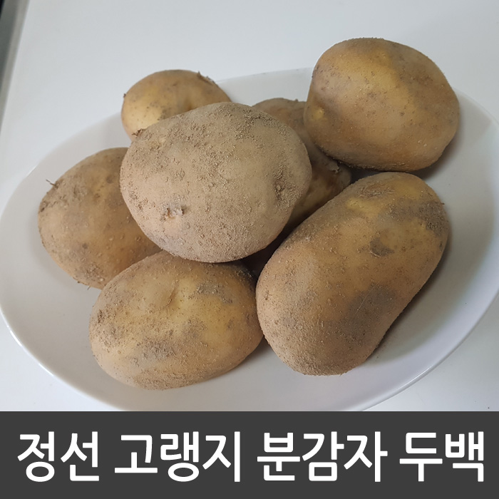 강원도감자가격 강원도 정선 두백감자 분감자 꼬마감자(작은감자) 설봉감자 알감자, 1box, 감자 10kg_51 