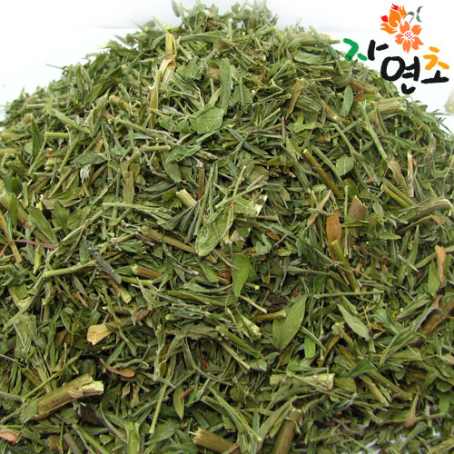 자연초 야관문 비수리, 1kg, 1개 추천해요 자연초 야관문 비수리, 1kg, 1개 추천해요