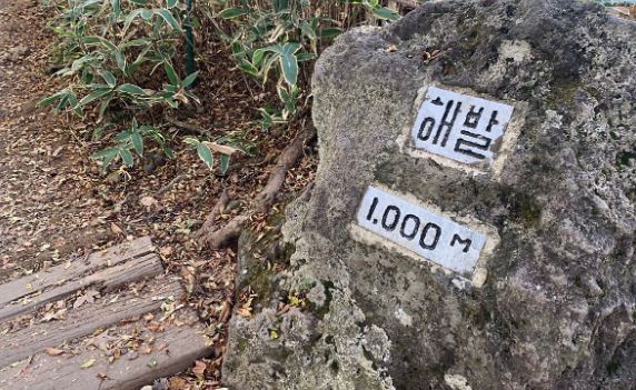  [직업칼럼] 등산과 취업의 소름돋는 공통점 (feat. 한라산)