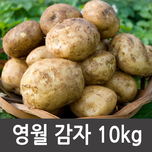   강원도감자센터 강원도 영월 수미감자 10kg(대 중 소) 감자, 1box, 감자 10kg(대)_63 