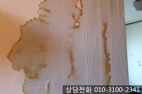  경기도 광주 단독주택 누수-아담누수탐지전문