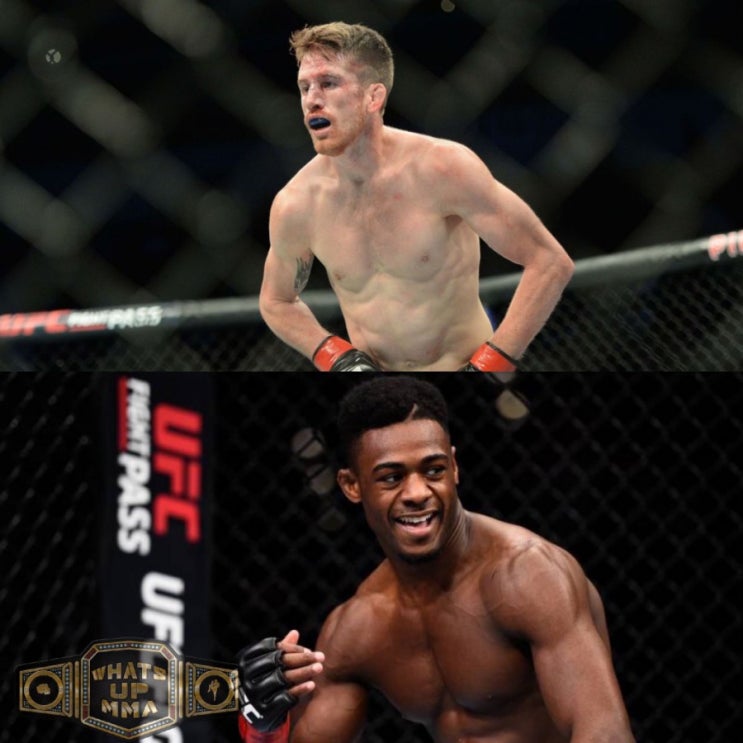UFC 샌 디에고: 스털링 vs 샌드하겐 추진 중 등 MMA 뉴스 UFC 샌 디에고: 스털링 vs 샌드하겐 추진 중 등 MMA 뉴스
