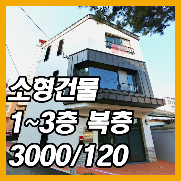  대구상가임대-중구 봉산동의 소형건물 전체 임대