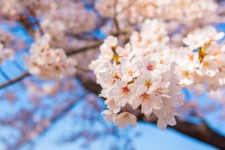 화성 병점중앙로 / 에어서스펜션 장착 / 기아 / 스팅어