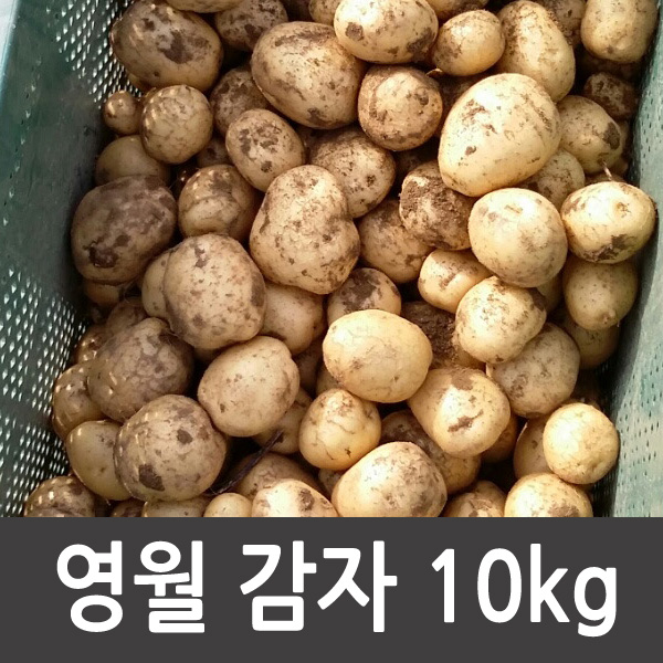 강원도청감자판매 강원도 영월 수미감자 10kg(대 중 소) 감자, 1box, 감자 10kg (중소혼합크기)_55 