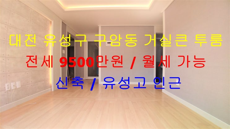  대전 유성구 구암동 유성고 인근에 있는 신축 구조 이쁜 거실큰 투룸 전세, 월세 모두 가능한 매물입니다 ^^