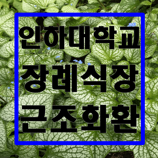  인천광역시 인하대학교 부속병원 장례식장 근조화환 주문 가능한 근처 꽃집은 여기![띵동 꽃배달]
