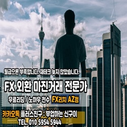  FX마진거래 부업으로 하루일당 50만원 프로잭트 8기