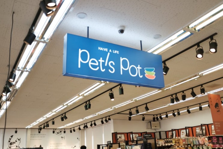 펫스팟 Pet's pot 반려동물용품샵 : 데구루루 마따따비 볼, 민들레 꽃목걸이 구입