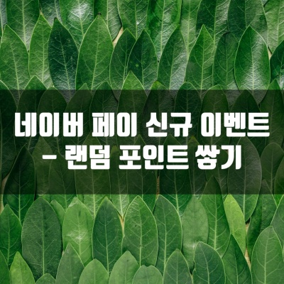  네이버 페이 신규 이벤트 - 소중한 내 카드 매일 한방에 조회하고 랜덤포인트 쌓아요!