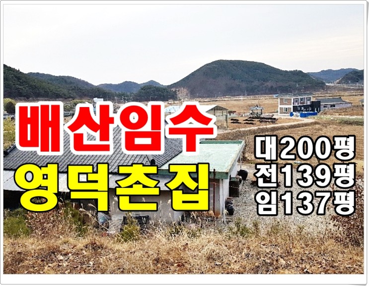 영덕부동산-촌집매매 대지200평 전139평 임야137평