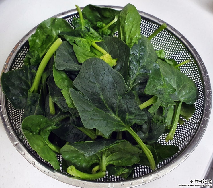  백종원 시금치무침 만드는 방법. 맛에 비밀은 시금치 데치기!