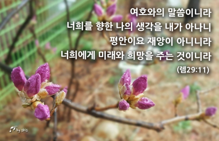  미래와 희망은 영원 속에 있습니다