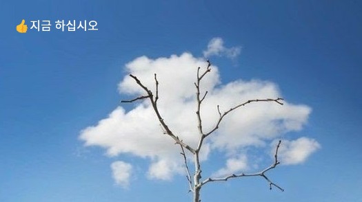  (좋은 글) 지금 하십시오