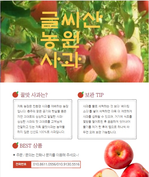 맛있는사과 가성비 최고의 김천 글씨산농원 직송 할인 맛있는사과 가성비 최고의 김천 글씨산농원 직송 할인