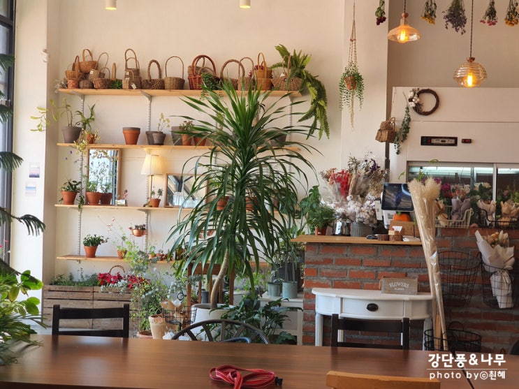청라 카페 판썸 애견동반 가능 꽃집과 하나로