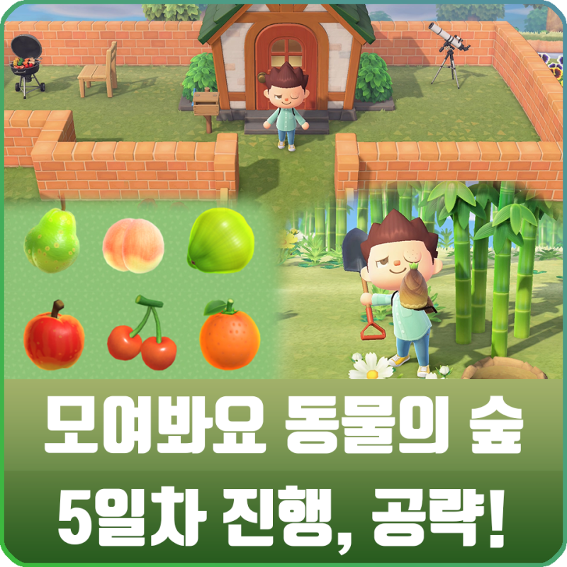 모여봐요 동물의 숲 모동숲 5화 - 과일 종류 / 과수원 만들기 / 금광석, 봄의 대나무, 죽순 구하기 : 네이버 블로그