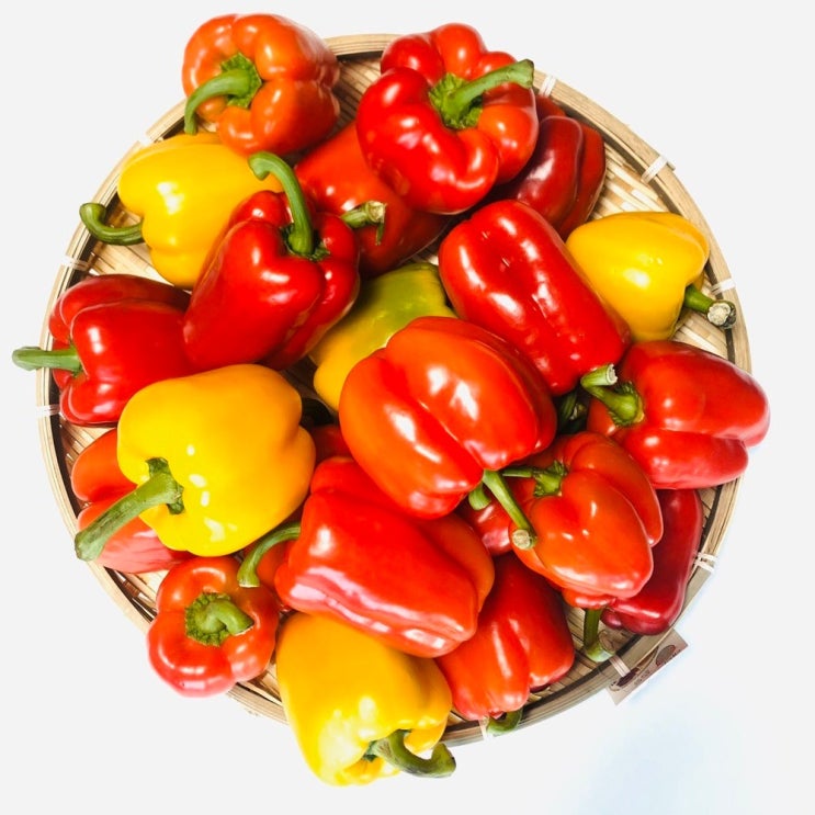 [어글리베지] 못난이 파프리카 혼합 1kg 2kg 5kg, 1box 추천해요