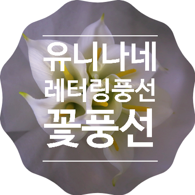  레터링풍선 꽃풍선 파티풍선 유니나네풍선